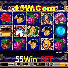 55Win Bet Brasília - Jogo Features